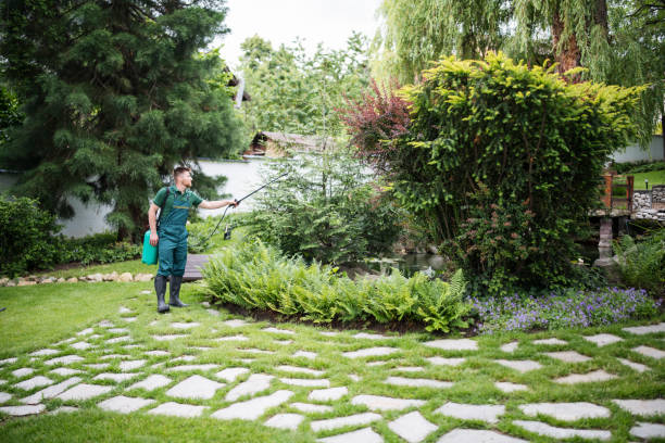 Best Mosquito Control Services  in Flat Rock, MI