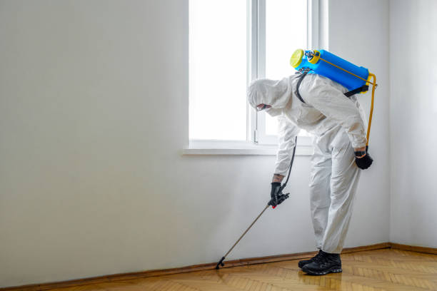 Pest Control Cost in Flat Rock, MI