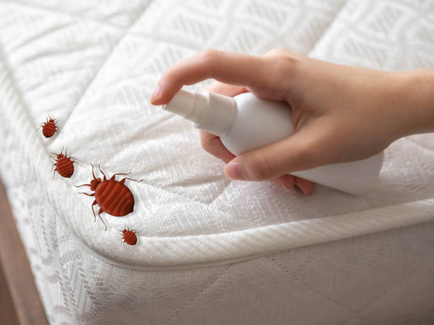 Best Local Pest Control Services  in Flat Rock, MI
