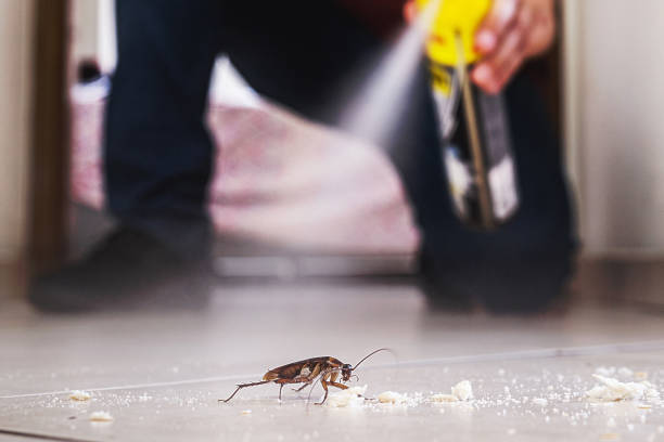Best Bed Bug Extermination  in Flat Rock, MI
