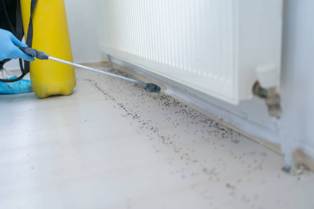 Best Residential Pest Control  in Flat Rock, MI
