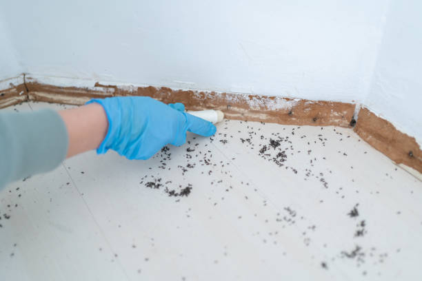 Best Pest Control Near Me  in Flat Rock, MI